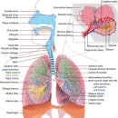 장경한의원 이미지