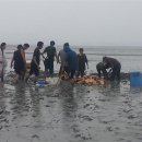 백일학교 프레시안