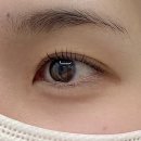 데이브로우