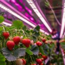 미래농산 이미지