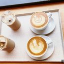 매월대 진입도로변 | 사려니숲 비오는날 제주여행 숨은 스냅 촬영지 천미천까지