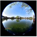 영산 연지 이미지