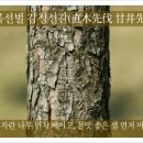 직목선벌 감정선갈(直木先伐 甘井先竭) 이미지