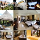 에버그린여행사 이미지