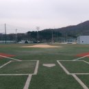 ⚾️12/19(일) 08:00~#버들개구장 #황금타임 #용병경기 이미지