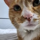 24시하나린동물의료센터 이미지