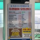 동명상회 | [강원도/속초] 동명항 활어회센터 내돈내산 가성비 후기 (67호 장원상회 꿀팁)