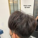 텐디헤어