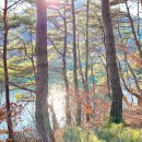 내토로 | 몸보신 제대로 하고 온 제천 리솜포레스트 맛집 명가백숙 방문 후기