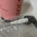 미용실샴푸 그 향 그대로! 바디브 러브 앤 데스티니 샴푸 사용 후기