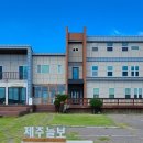 제주늘보의오후 이미지