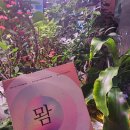 아미서가 이미지