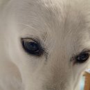 스테이 노네 이미지