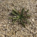 강회농장 이미지