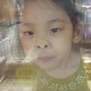 용인대 백룡 태권도 이미지