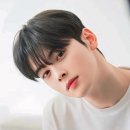 인동22길-1 | 🖤시스루댄디 (See-through Dandy)