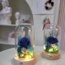 엘림캘리&플라워