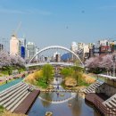 불광천5 이미지