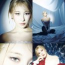 이채연 카카오 검색결과