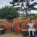 가은동물농장 이미지