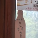 노래하는토마토 이미지