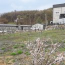 미석농장 이미지