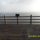 꽃섬투어 이미지