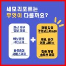 성지세무회계 이미지