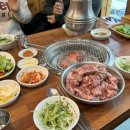 불타는갈매기아라점