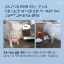 에스더 - 여수시 여서1로 88 | 에스더