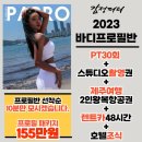 감성피티 이미지