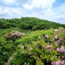 6월 제348차 정기산행 안내: 두위봉(斗圍峰, 1466m) 정선군 이미지