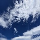 [해파랑길명소걷기 후기(8/17)] 해파랑길 46코스 (속초 장사항 ~ 고성 천학정) 이미지