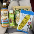 한천자연휴양림제1공중화장실 | 🇯🇵 삿포로 꿀팁 ❗️인디고 트래블 비에이 투어 내 돈 내산 솔직후기 ( 11월 초 함박눈 옷차림, 화장실 )