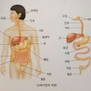안양역요양보호사교육원 이미지