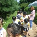 보림유치원 이미지