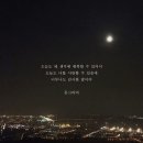 늘;봄 이미지