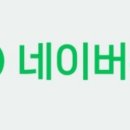 11월 4주차 네이버 불법사채 검색뉴스 리포트 이미지