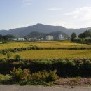 하2리