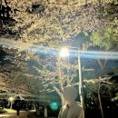 [임신 10주차] 최고조인 입덧과 피로감으로 골골댄 초기 임산부 증상과 일상, 10주차 초음파