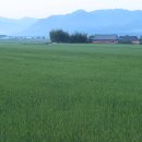 난동회관 이미지