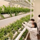 스마트팜 이미지