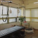 라이프 발란서 이미지