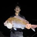 대물낚시용 가성비 ZLE 꿰미 사용후기