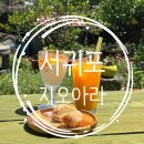지오아라 이미지