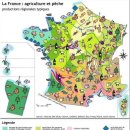 나라유통 이미지