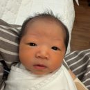 (주)청진시스템 | [공지] 내돈내산 동탄 벨라니 산후조리원 2주 추천 찐후기