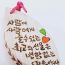 비바체 이미지