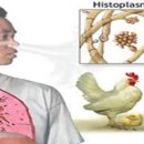 호텔 더 그레이 이미지