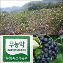 천정농장 이미지